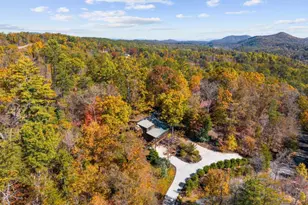 653 The Woods Rd, Mineral Bluff, GA 30559 - Photo 4