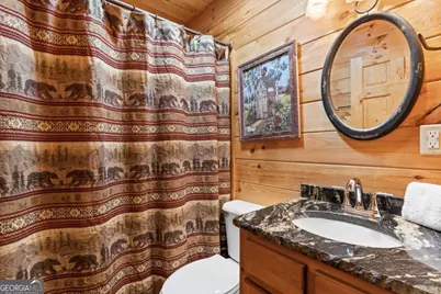 653 The Woods Road, Mineral Bluff, GA 30559 - Photo 20