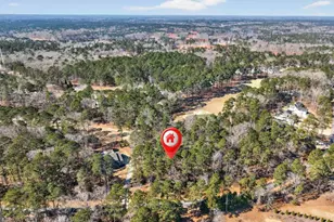 1841 Osprey Poynte, Greensboro, GA 30642 - Photo 6