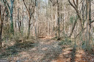 716 Steven's Grove Church Rd, Lexington, GA 30648 - Photo 36