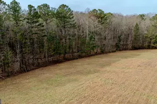 8817 Hwy 100, Hogansville, GA 30230 - Photo 78