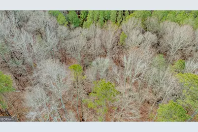 8817 Highway 100, Hogansville, GA 30230 - Photo 80