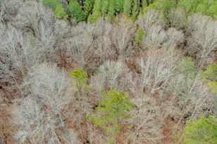 8817 Hwy 100, Hogansville, GA 30230 - Photo 80