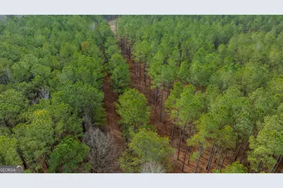 8817 Highway 100, Hogansville, GA 30230 - Photo 68