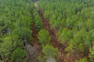 8817 Hwy 100, Hogansville, GA 30230 - Photo 68