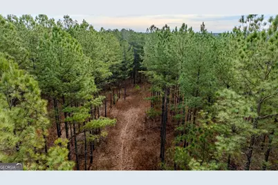8817 Highway 100, Hogansville, GA 30230 - Photo 70
