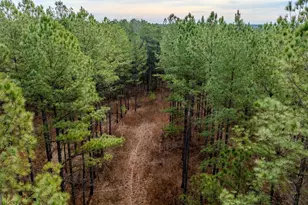 8817 Hwy 100, Hogansville, GA 30230 - Photo 70