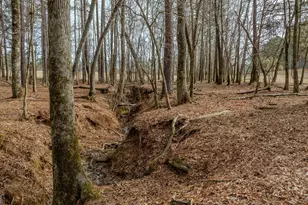 8817 Hwy 100, Hogansville, GA 30230 - Photo 98