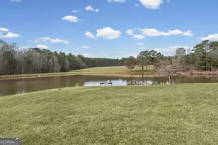 8817 Hwy 100, Hogansville, GA 30230 - Photo 54