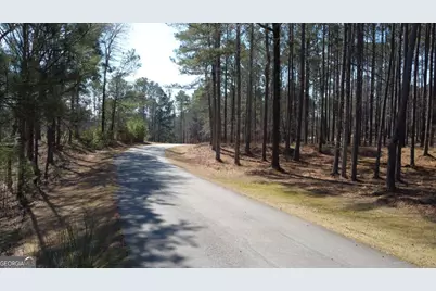 1041 Shadow Creek Way, Greensboro, GA 30642 - Photo 1