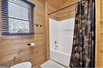 78 Brass Hill Road, Blue Ridge, GA 30513 - Photo 32