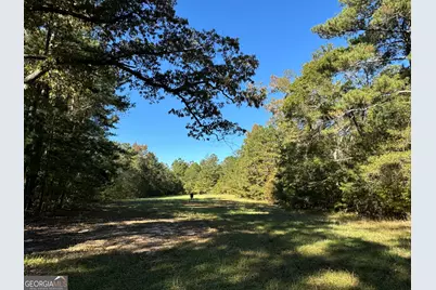 200 Ac W Ellis Road, Griffin, GA 30223 - Photo 2
