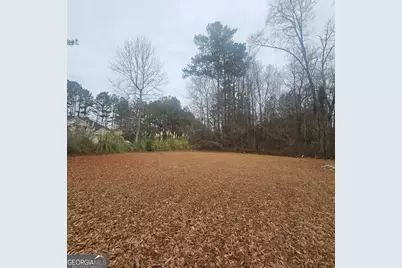 239 Kyndal Drive, Hampton, GA 30228 - Photo 4