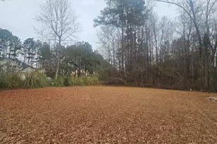 239 Kyndal Dr, Hampton, GA 30228 - Photo 4