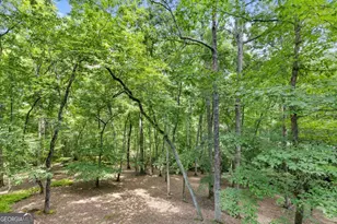 100 Arbor Way, Blue Ridge, GA 30513 - Photo 22