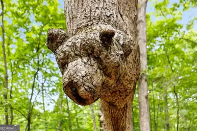 100 Arbor Way, Blue Ridge, GA 30513 - Photo 44