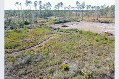 1379 Hasty Rd, Ellwood, GA 31552 - Photo 6