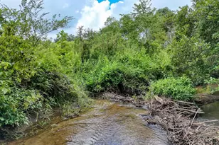 89 Simmons Rdg, Mineral Bluff, GA 30559 - Photo 70