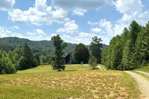 89 Simmons Rdg, Mineral Bluff, GA 30559 - Photo 10