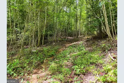 89 Simmons Ridge, Mineral Bluff, GA 30559 - Photo 66