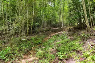 89 Simmons Rdg, Mineral Bluff, GA 30559 - Photo 66