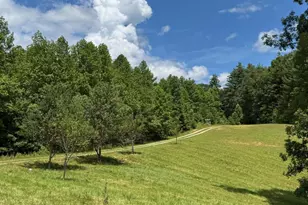 89 Simmons Rdg, Mineral Bluff, GA 30559 - Photo 8