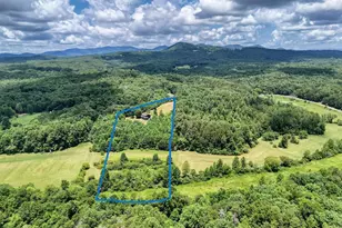 89 Simmons Rdg, Mineral Bluff, GA 30559 - Photo 72