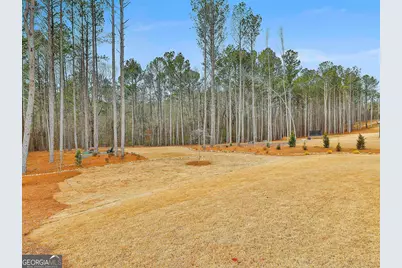 171 Huiet Drive, Fayetteville, GA 30215 - Photo 46