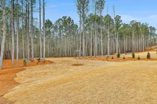 171 Huiet Dr, Fayetteville, GA 30215 - Photo 46