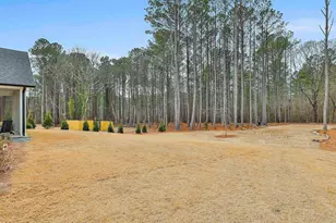 171 Huiet Dr, Fayetteville, GA 30215 - Photo 42