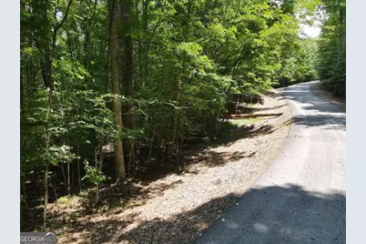 Lot 3 Scouts Overlook Lane, Morganton, GA 30560 - Photo 8