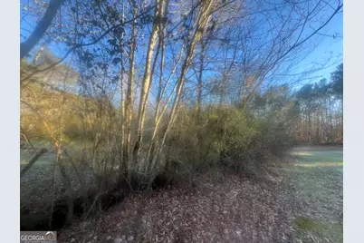 587 E Johnson Street, Temple, GA 30179 - Photo 4