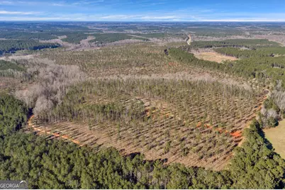 Lexington Estates, Lexington, GA 30648 - Photo 14