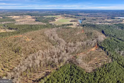 Lexington Estates, Lexington, GA 30648 - Photo 12