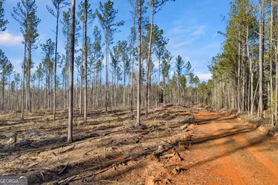 Lexington Estates, Lexington, GA 30648 - Photo 10