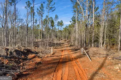 Lexington Estates, Lexington, GA 30648 - Photo 8