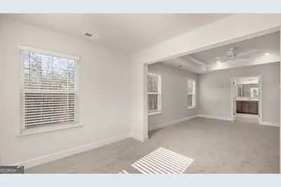 380 Staffin Drive, Senoia, GA 30276 - Photo 22