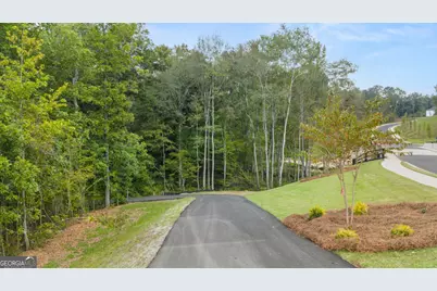 380 Staffin Drive, Senoia, GA 30276 - Photo 70