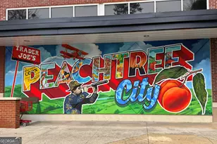 501 Saltlick Trace, Peachtree City, GA 30269 - Photo 26