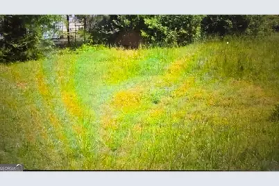 41 Pine Street, Woodbury, GA 30293 - Photo 4