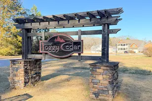 162 Foggy Cedar Dr, Hamilton, GA 31811 - Photo 2