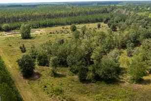 120 John H Carter III Ln, Folkston, GA 31537 - Photo 40