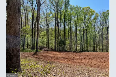 344 Hidden Valley Drive, Alto, GA 30510 - Photo 2