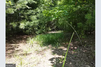 Lot 4 Scouts Overlook Lane, Morganton, GA 30560 - Photo 20