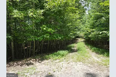 Lot 4 Scouts Overlook Lane, Morganton, GA 30560 - Photo 30