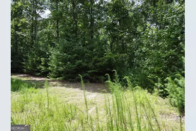 Lot 4 Scouts Overlook Lane, Morganton, GA 30560 - Photo 6