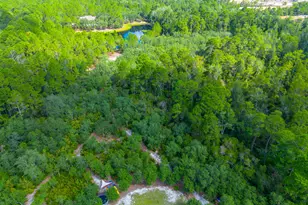 128 Satilla Blfs Dr, Blackshear, GA 31516 - Photo 52