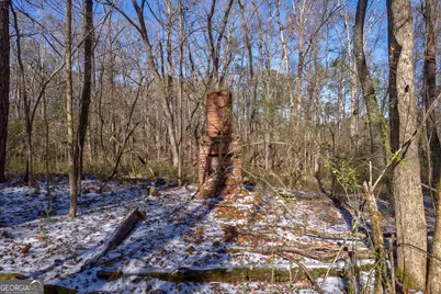 2821 Cole Springs Road, Bishop, GA 30621 - Photo 6