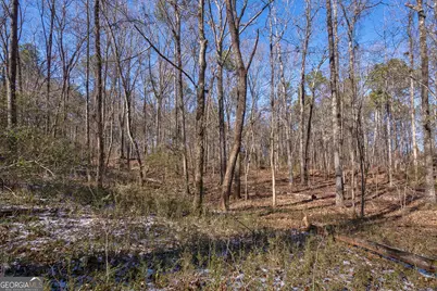 2821 Cole Springs Road, Bishop, GA 30621 - Photo 8