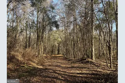 6411 Columbus Road, Lizella, GA 31052 - Photo 2